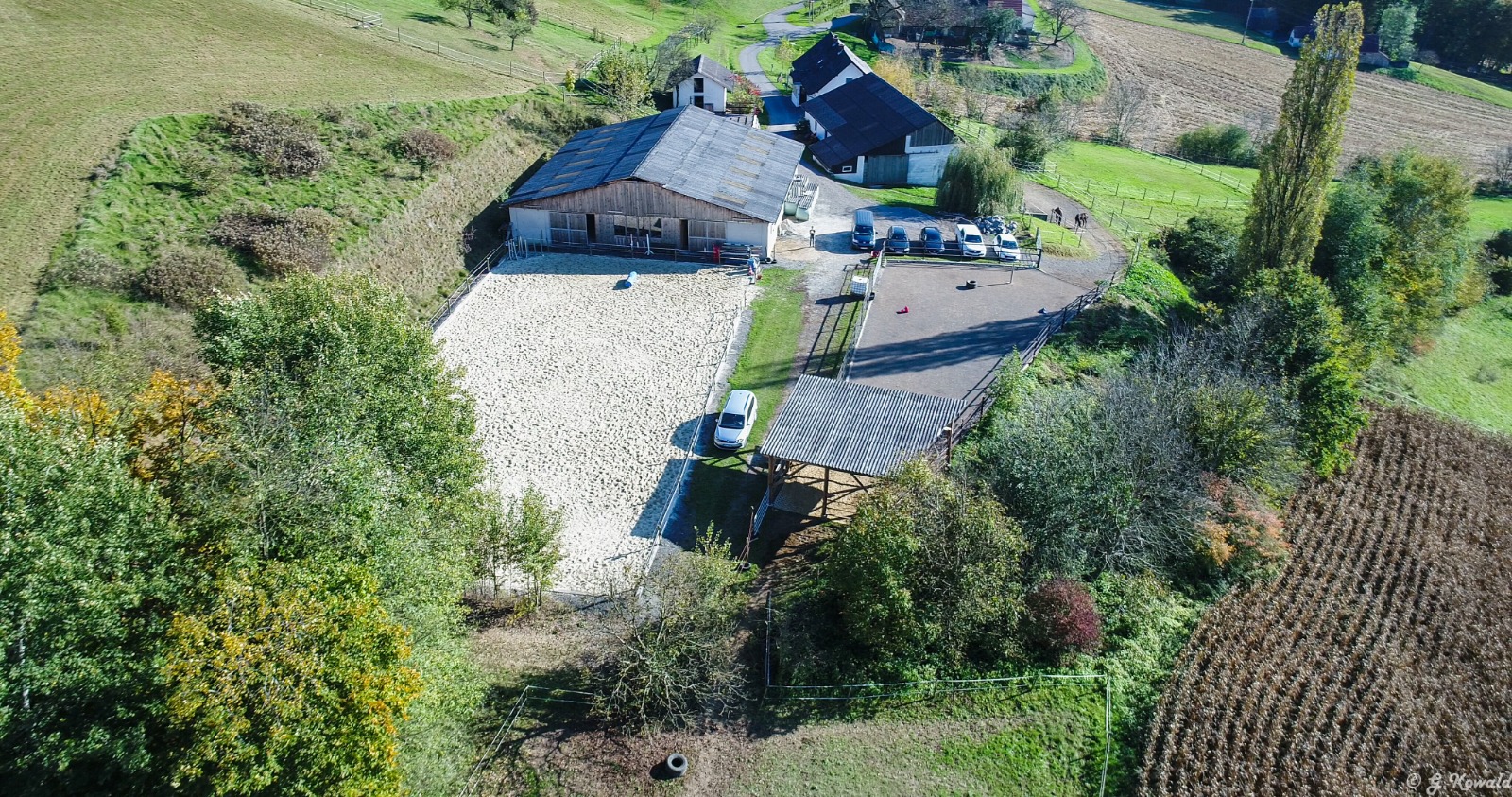 vet stables